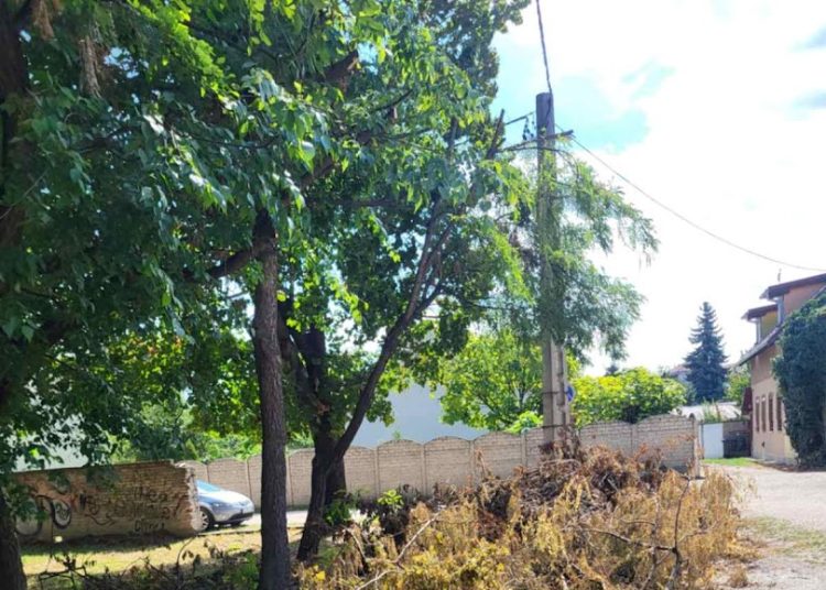 A Váci Városfejlesztő Kft. heti beszámolója