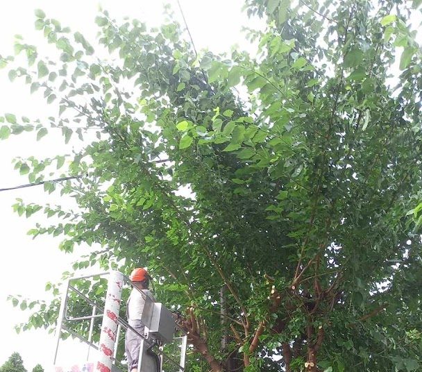 A Váci Városfejlesztő Kft. heti beszámolója