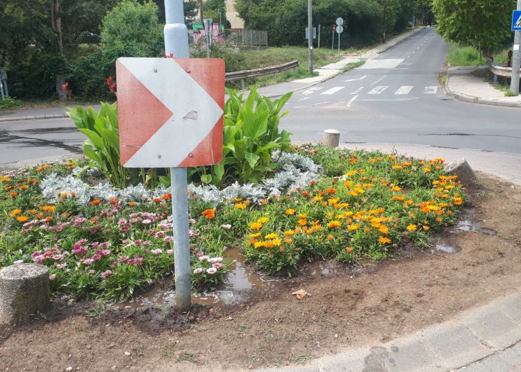 A Váci Városfejlesztő Kft. heti beszámolója