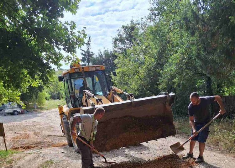 A Váci Városfejlesztő Kft. heti beszámolója