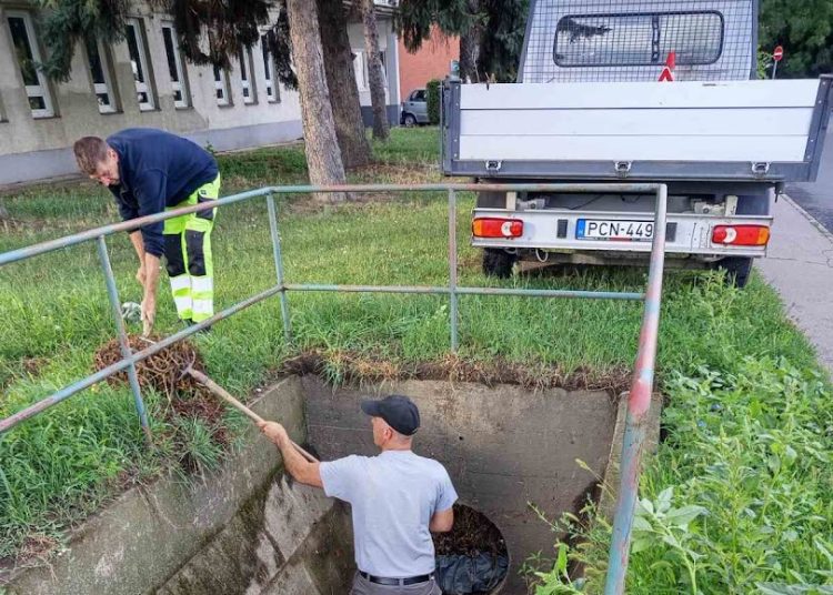 A Váci Városfejlesztő Kft. heti beszámolója