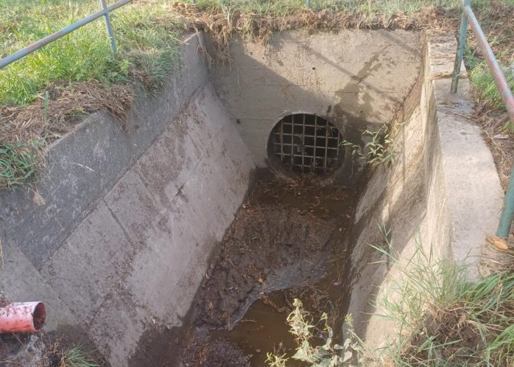 A Váci Városfejlesztő Kft. heti beszámolója
