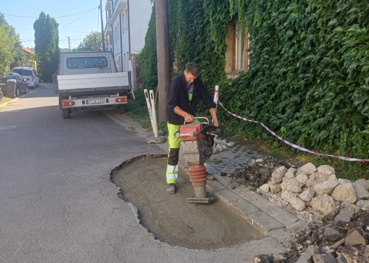 A Váci Városfejlesztő Kft. heti beszámolója