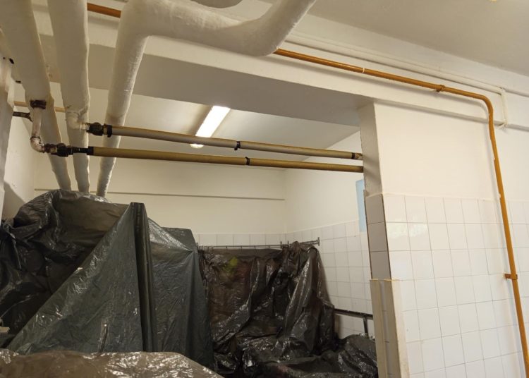 A Váci Városfejlesztő Kft. heti beszámolója