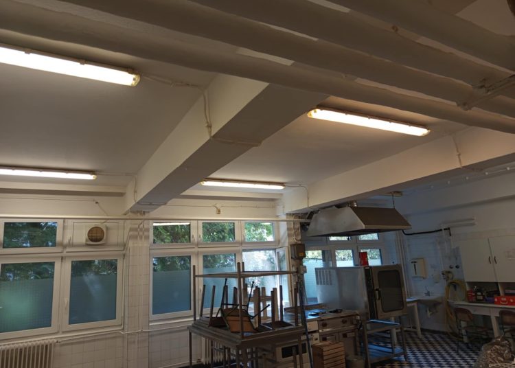 A Váci Városfejlesztő Kft. heti beszámolója