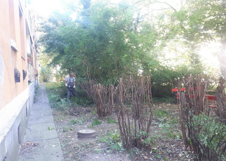 A Váci Városfejlesztő Kft. heti beszámolója