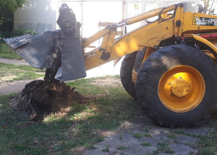 A Váci Városfejlesztő Kft. heti beszámolója
