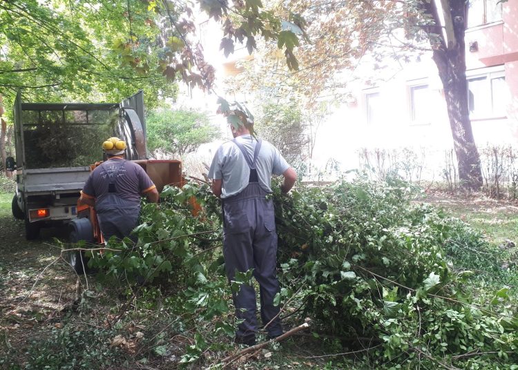 A Váci Városfejlesztő Kft. heti beszámolója