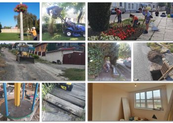 A Váci Városfejlesztő Kft. heti beszámolója