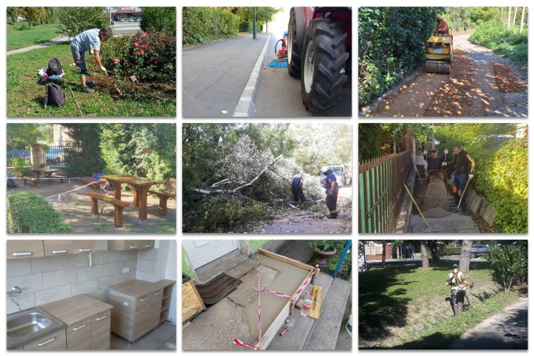 A Váci Városfejlesztő Kft. heti beszámolója