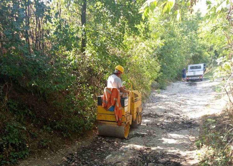 A Váci Városfejlesztő Kft. heti beszámolója