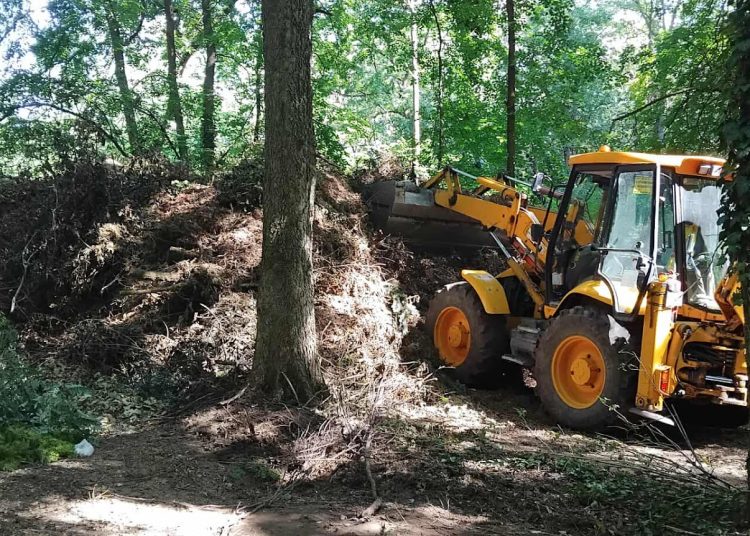 A Váci Városfejlesztő Kft. heti beszámolója