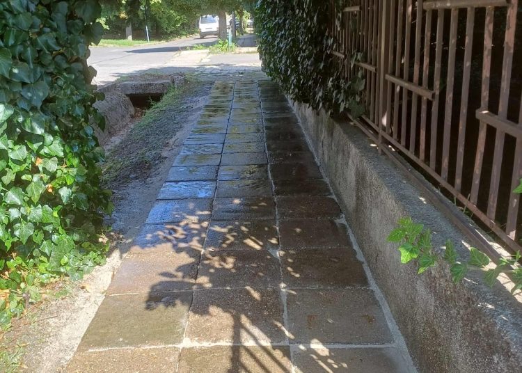 A Váci Városfejlesztő Kft. heti beszámolója