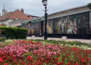 Közeleg a Virágos Vác díjátadója – videóval