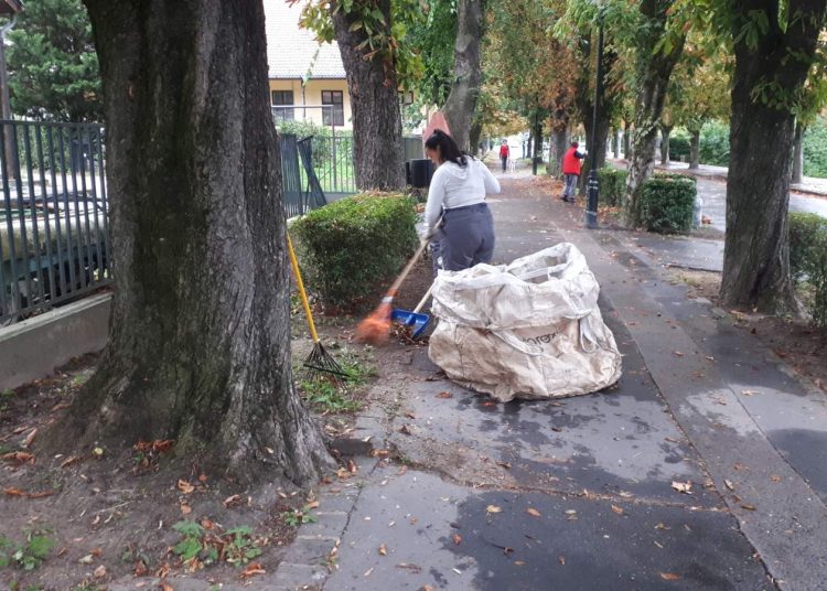 A Váci Városfejlesztő Kft. heti beszámolója