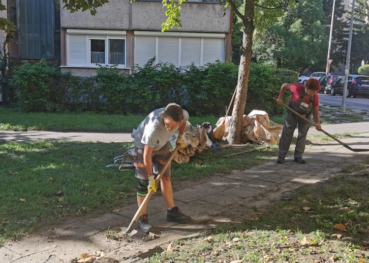 A Váci Városfejlesztő Kft. heti beszámolója
