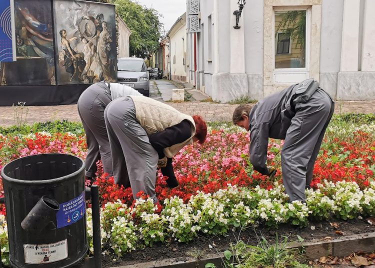 A Váci Városfejlesztő Kft. heti beszámolója