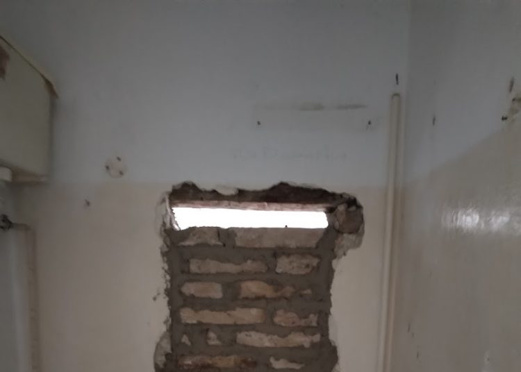 A Váci Városfejlesztő Kft. heti beszámolója