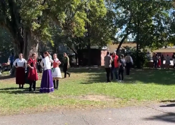 Szüreti felvonulást tartott a Váci Mező – videóval
