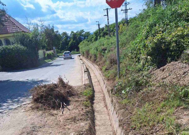 A Váci Városfejlesztő Kft. heti beszámolója