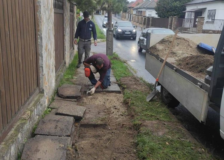 A Váci Városfejlesztő Kft. heti beszámolója