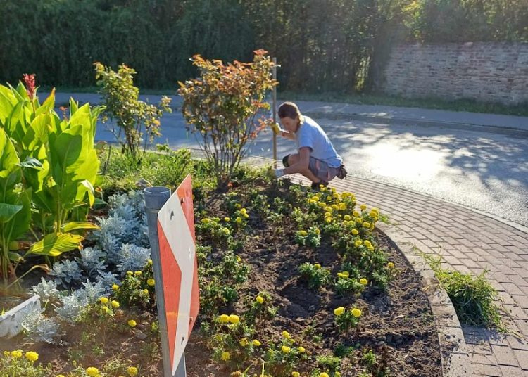 A Váci Városfejlesztő Kft. heti beszámolója