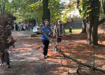 Több százan szedték a hulladékot és a lehullott leveleket a Ligetben