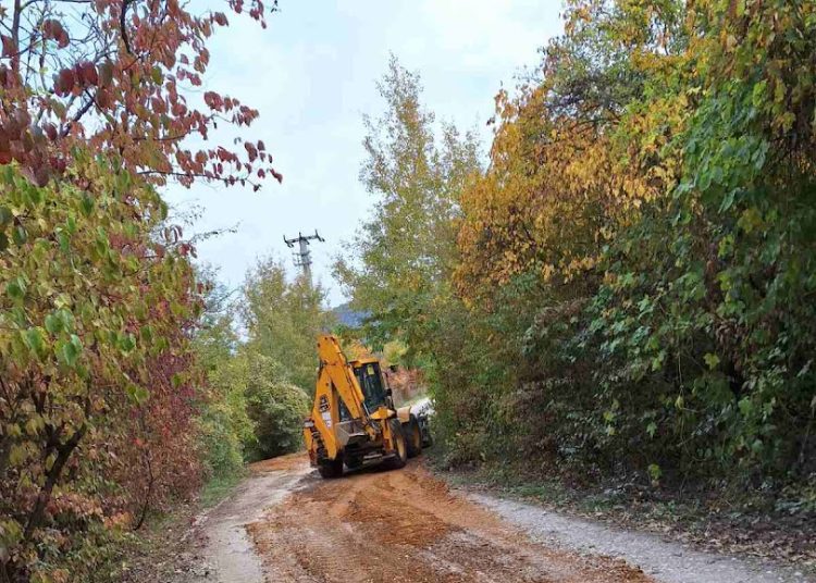 A Váci Városfejlesztő Kft. heti beszámolója