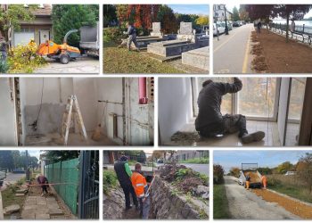 A Váci Városfejlesztő Kft. heti beszámolója