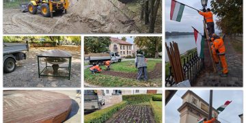 A Váci Városfejlesztő Kft. heti beszámolója