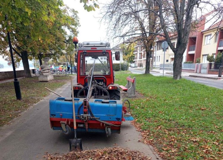 A Váci Városfejlesztő Kft. heti beszámolója