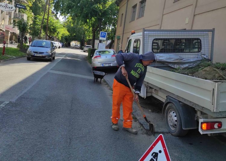A Váci Városfejlesztő Kft. heti beszámolója