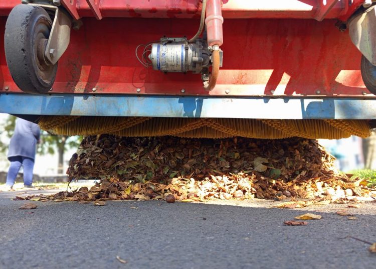 A Váci Városfejlesztő Kft. heti beszámolója