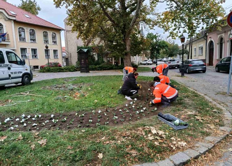 A Váci Városfejlesztő Kft. heti beszámolója