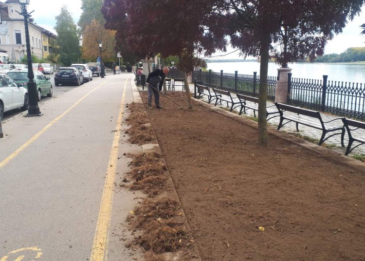 A Váci Városfejlesztő Kft. heti beszámolója