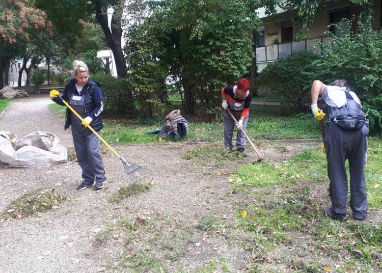 A Váci Városfejlesztő Kft. heti beszámolója