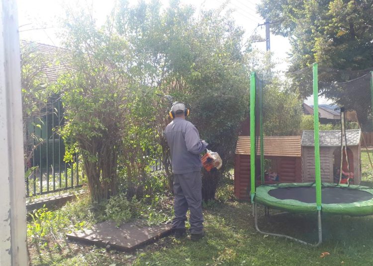 A Váci Városfejlesztő Kft. heti beszámolója