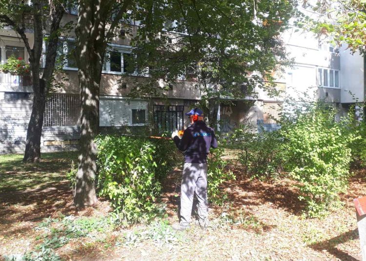 A Váci Városfejlesztő Kft. heti beszámolója