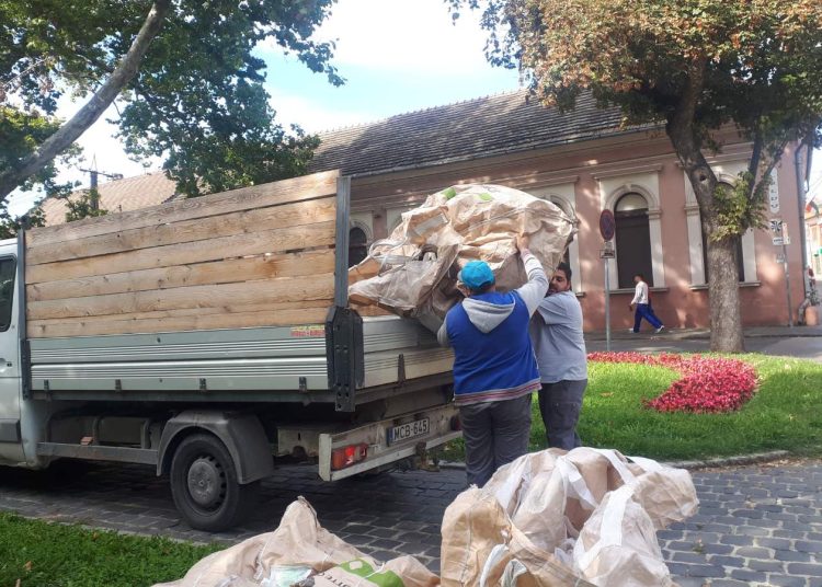 A Váci Városfejlesztő Kft. heti beszámolója