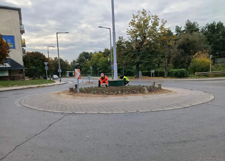 A Váci Városfejlesztő Kft. heti beszámolója