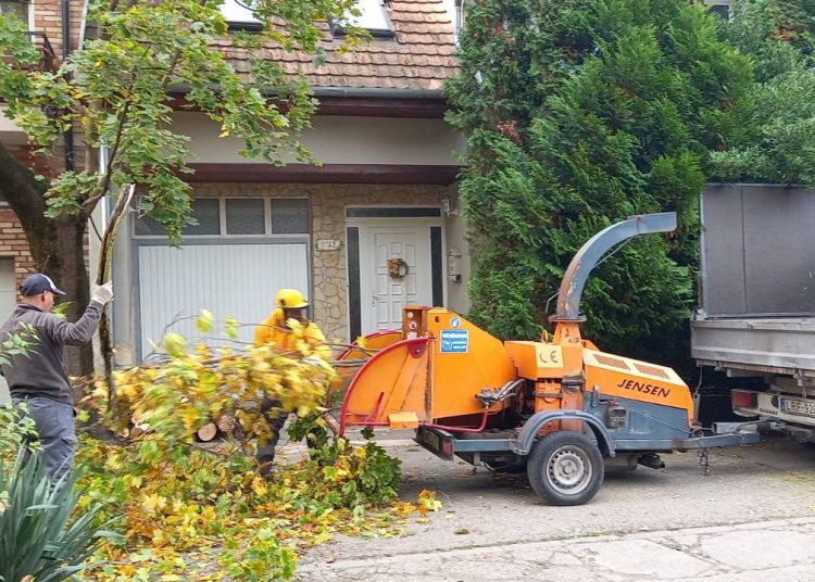 A Váci Városfejlesztő Kft. heti beszámolója