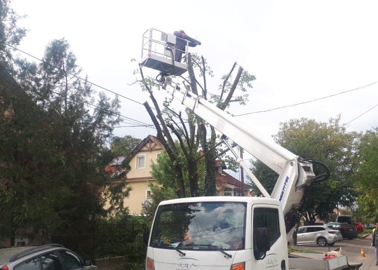 A Váci Városfejlesztő Kft. heti beszámolója