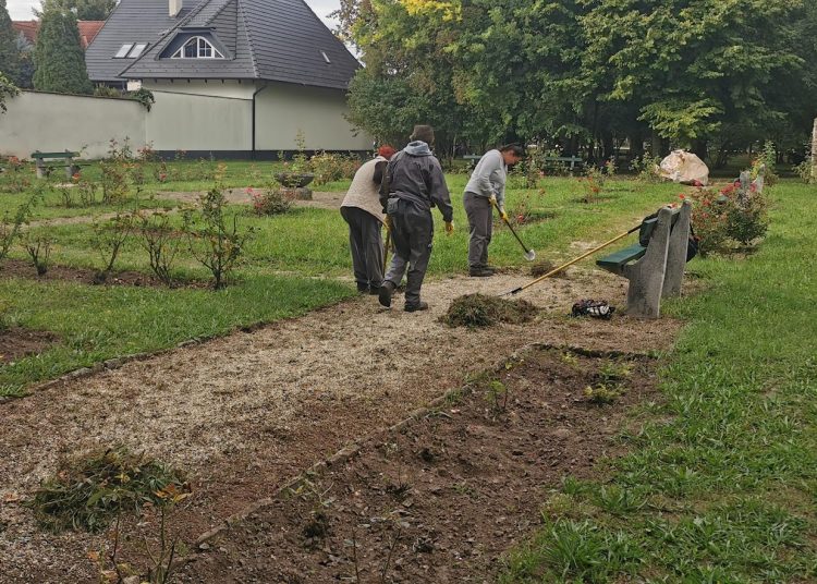 A Váci Városfejlesztő Kft. heti beszámolója