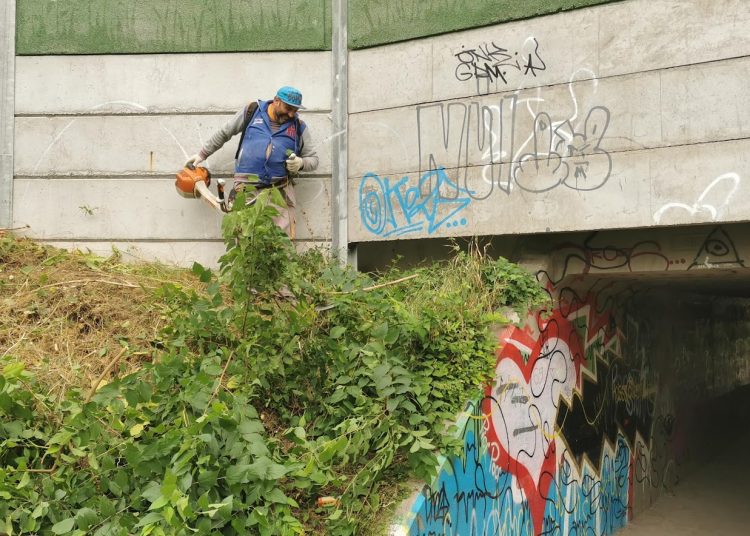 A Váci Városfejlesztő Kft. heti beszámolója