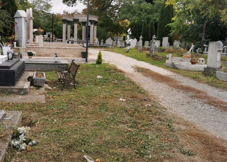 A Váci Városfejlesztő Kft. heti beszámolója