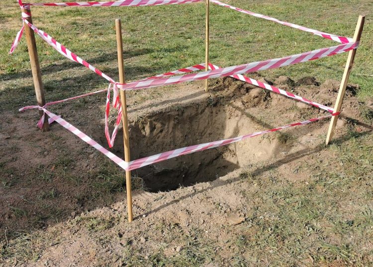 A Váci Városfejlesztő Kft. heti beszámolója