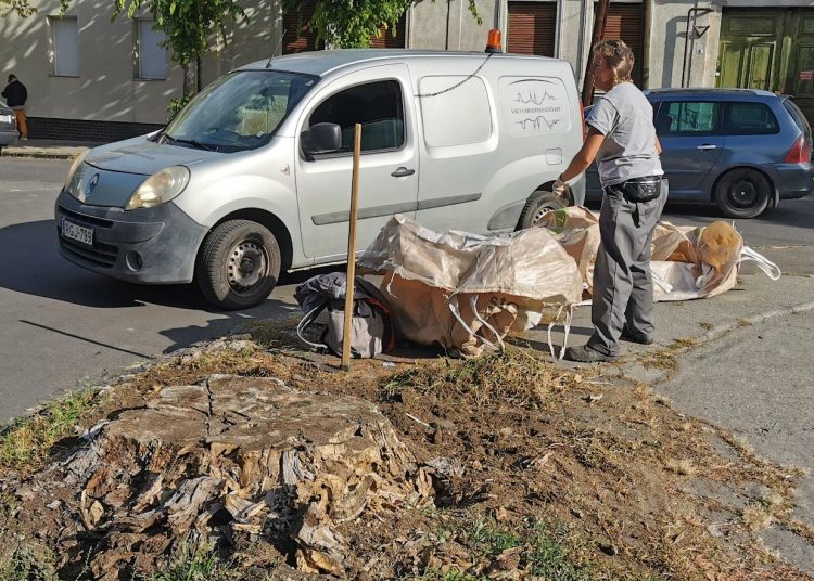 A Váci Városfejlesztő Kft. heti beszámolója