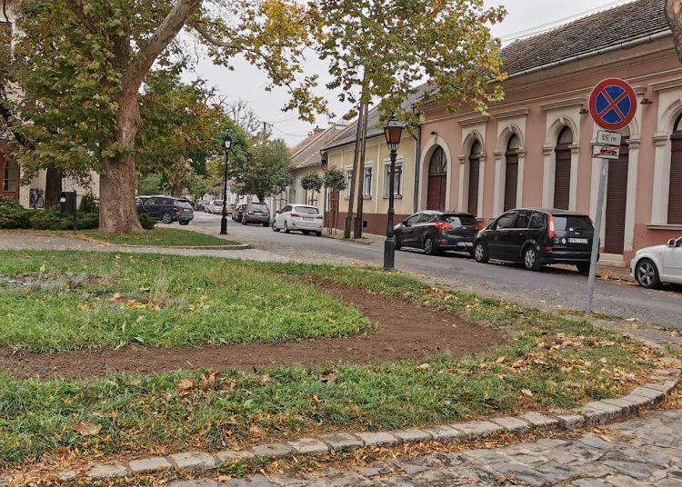 A Váci Városfejlesztő Kft. heti beszámolója