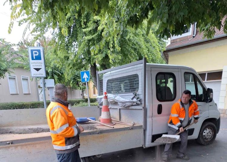 A Váci Városfejlesztő Kft. heti beszámolója