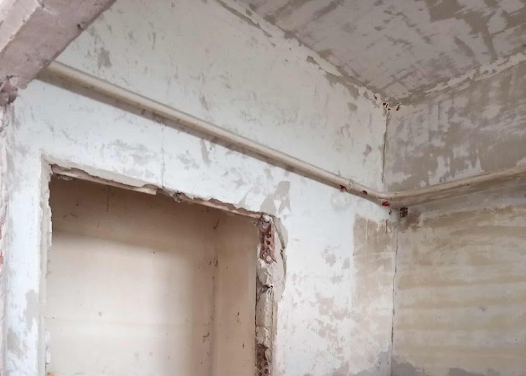 A Váci Városfejlesztő Kft. heti beszámolója